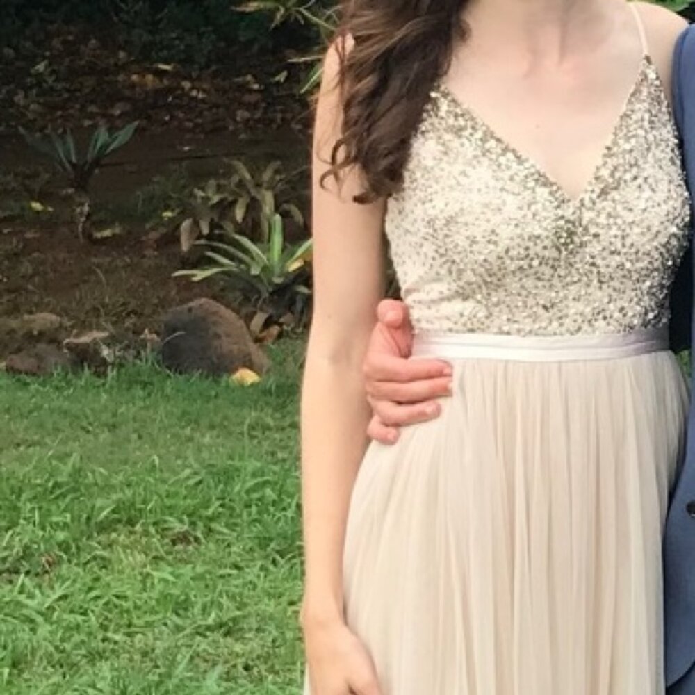 BHLDN Avery Maxi Dress, Oyster Champagne Color, Size 4 - Picture 11 of 11